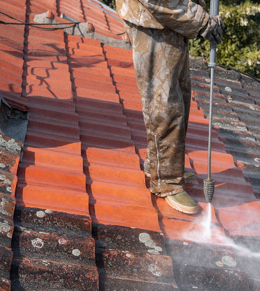 roof cleaning services